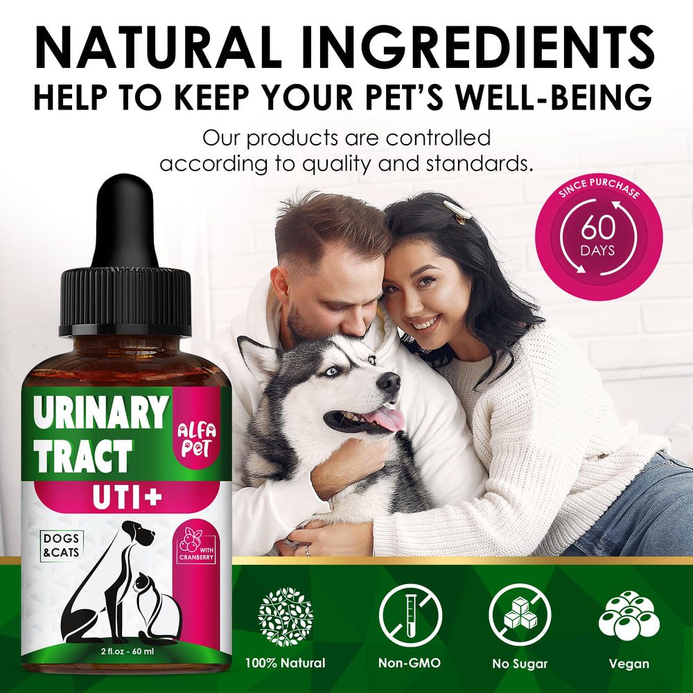 Alfa Pet chat acceptant les gouttes pour confort urinaire quotidien