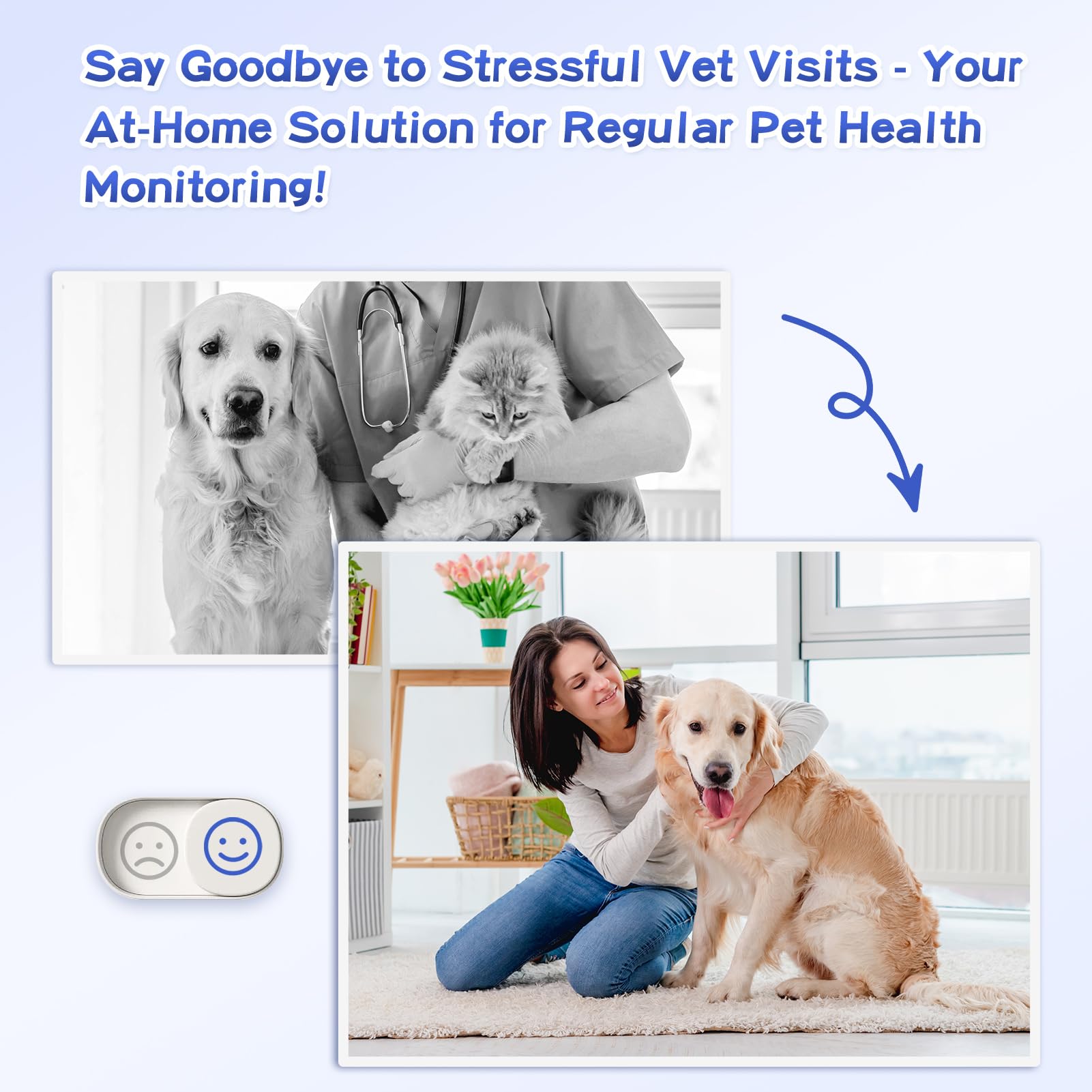 AlievePet kit posé près d'un chien illustrant utilisation domestique pratique