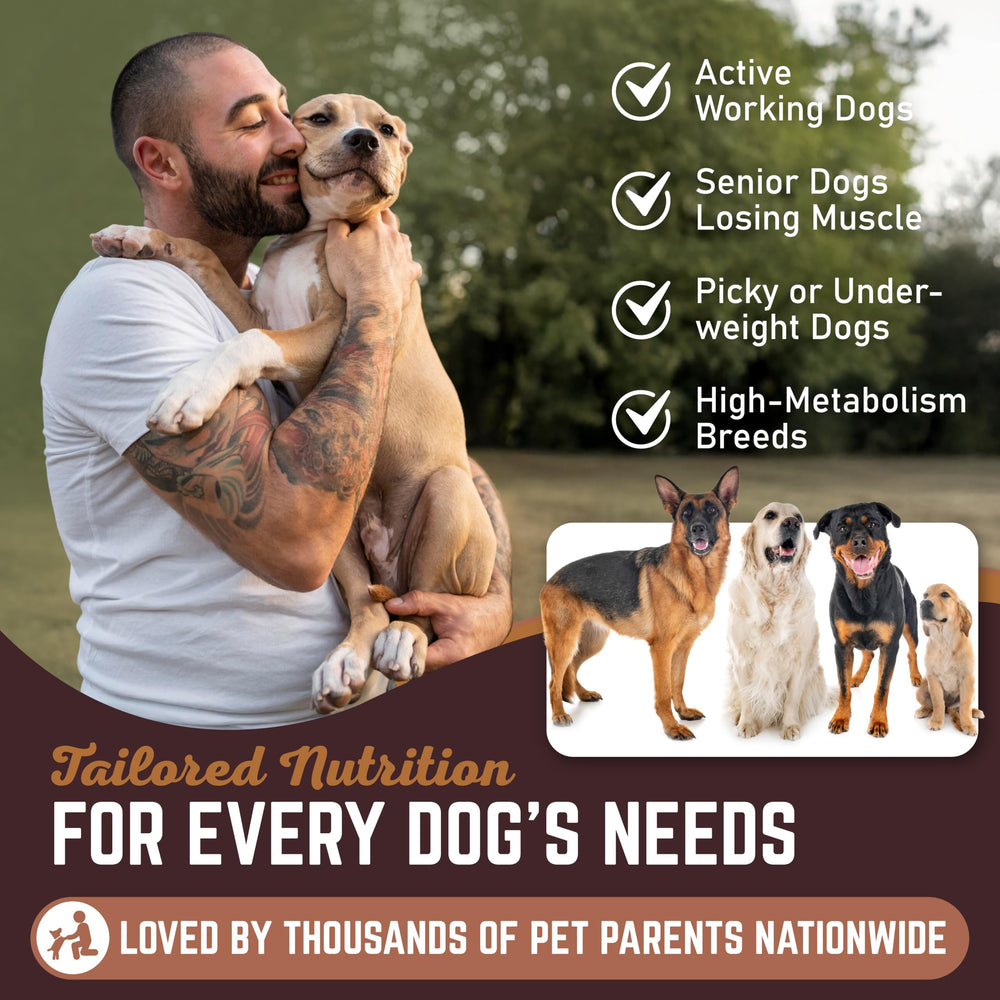 All American Canine portion montrant taille de service et contrôle des calories