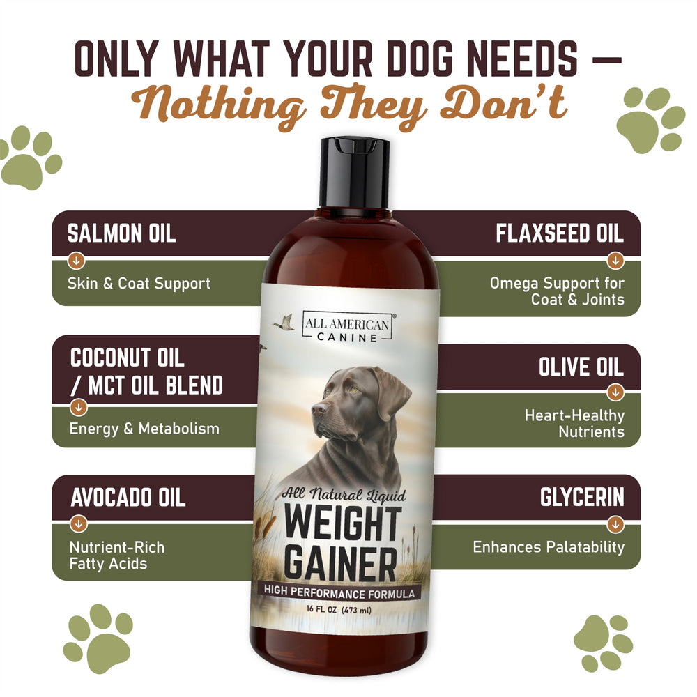 All American Canine versé sur croquettes indiquant appétence et ajout calorique