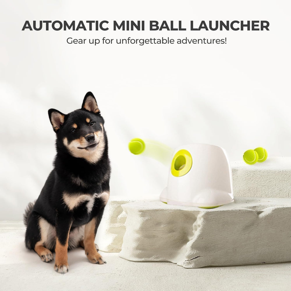 ALL FOR PAWS adaptateur et option piles pour flexibilité d'alimentation