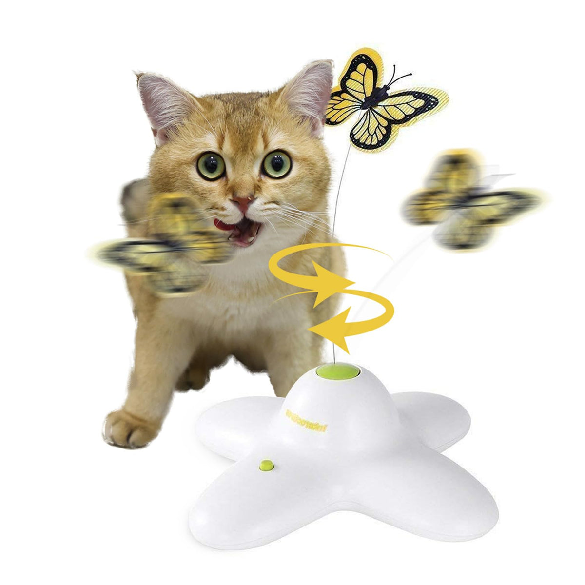 ALL FOR PAWS baguette avant montrant le papillon rotatif pour amusement durable
