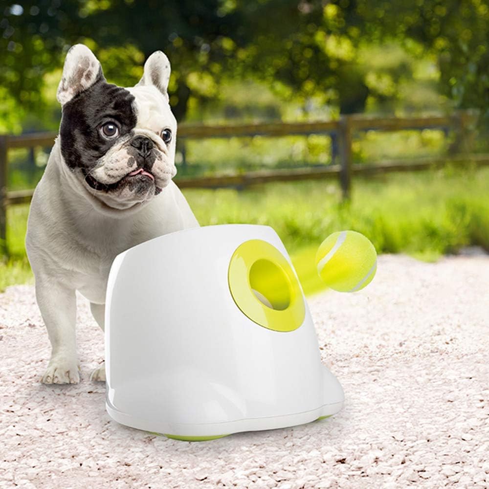 ALL FOR PAWS détail de surface antidérapante offrant une meilleure prise et durabilité