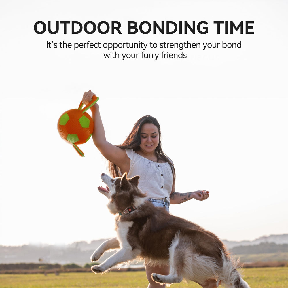 ALL FOR PAWS chien rapporte la balle en extérieur pour exercice