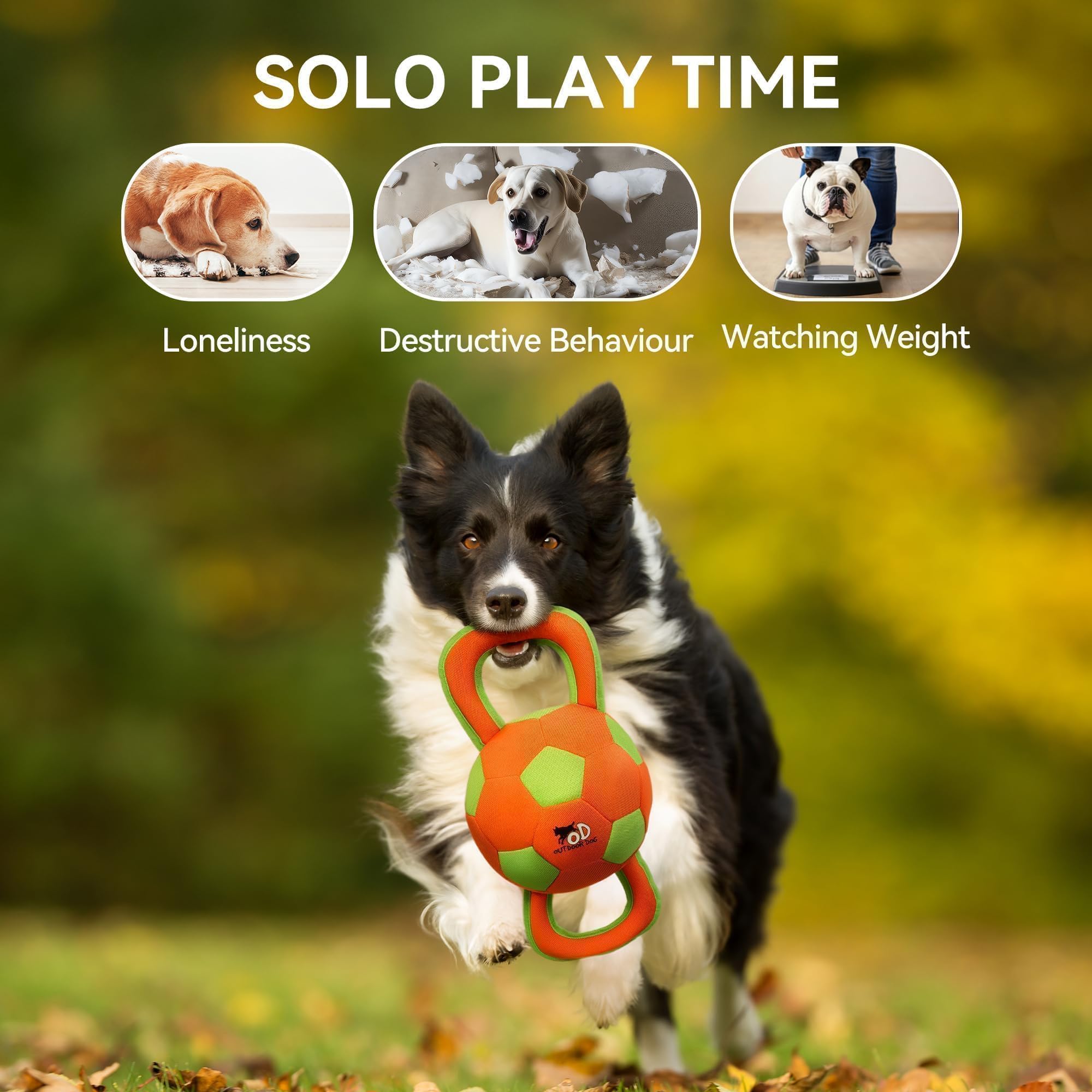 ALL FOR PAWS comparaison avec une main montrant taille adaptée chiens