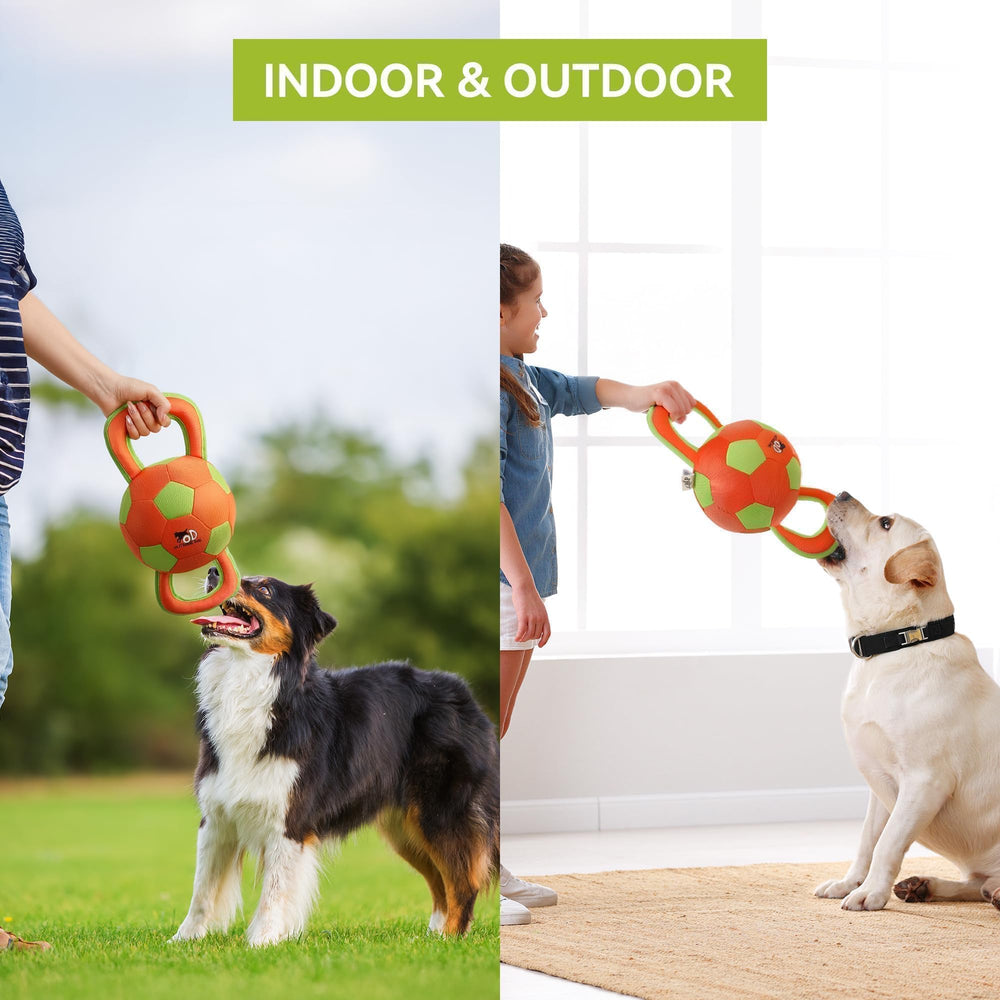ALL FOR PAWS zoom sur la couinette intégrée pour stimulation auditive
