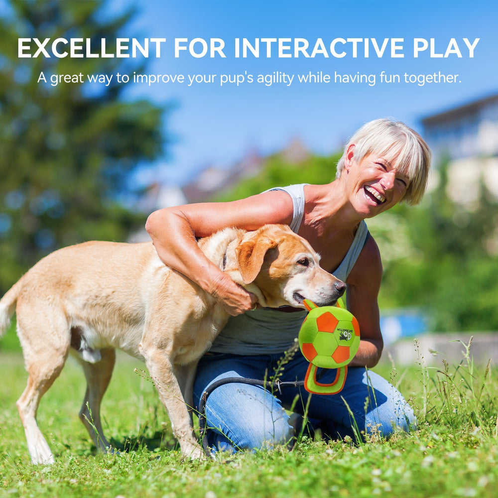 ALL FOR PAWS balle en usage avec chien stimulant exercice et rappel