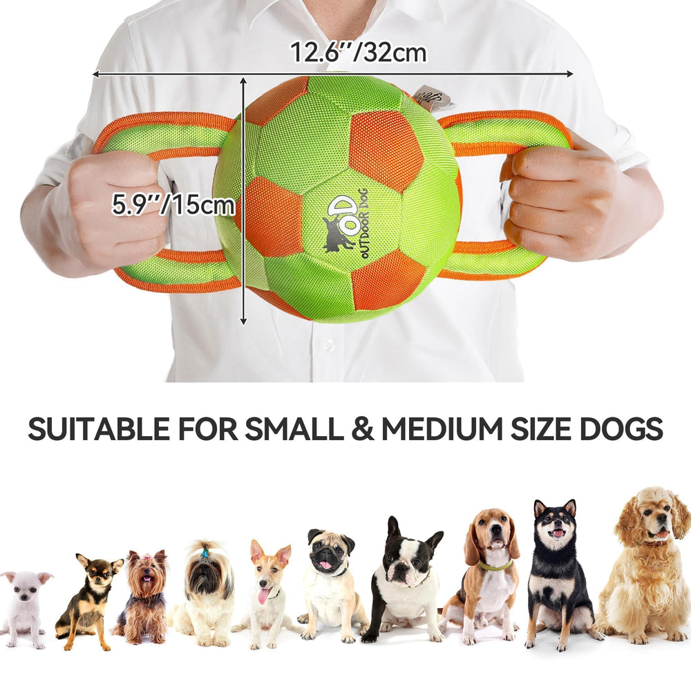 ALL FOR PAWS gros plan matière résistante garantissant durabilité au jeu