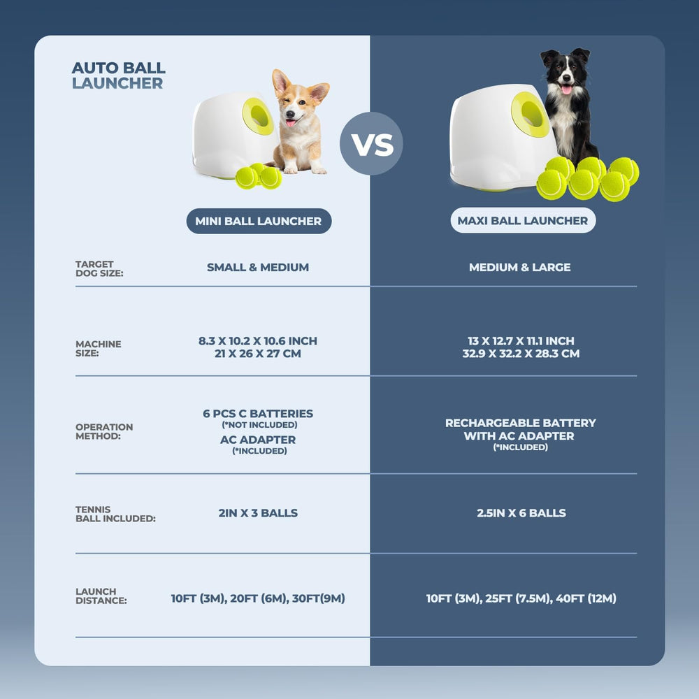 ALL FOR PAWS gros plan sur balle montrant texture pour prise et résistance
