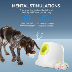 ALL FOR PAWS six balles ETPU posées près du chargeur, durables et douces pour dents