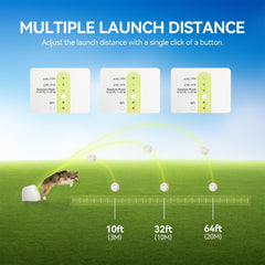 All for Paws pack de six balles ETPU incluses, durables pour jeu prolongé