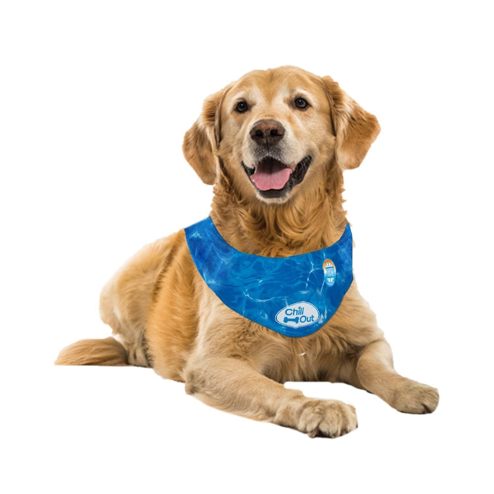 ALL FOR PAWS bandana bleue face avant montrant motif ondulations, look rafraîchissant