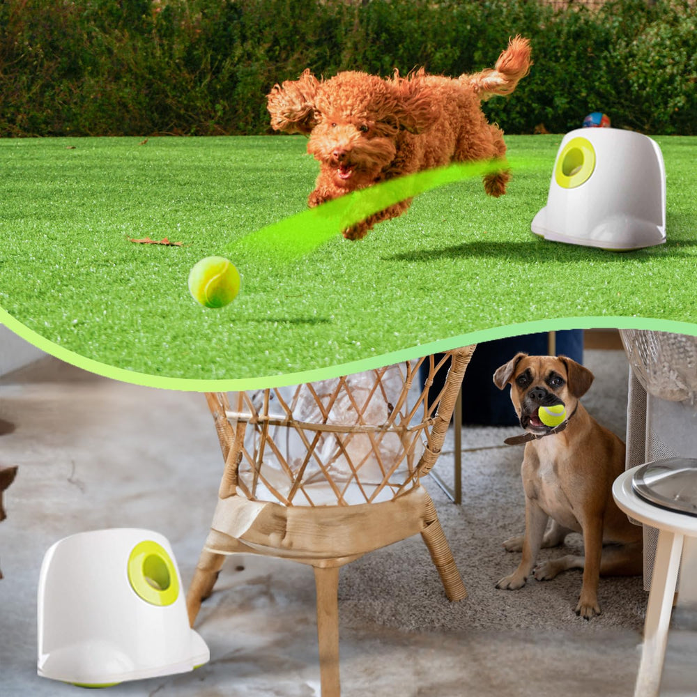 ALL FOR PAWS gros plan de la goulotte pour un chargement sûr