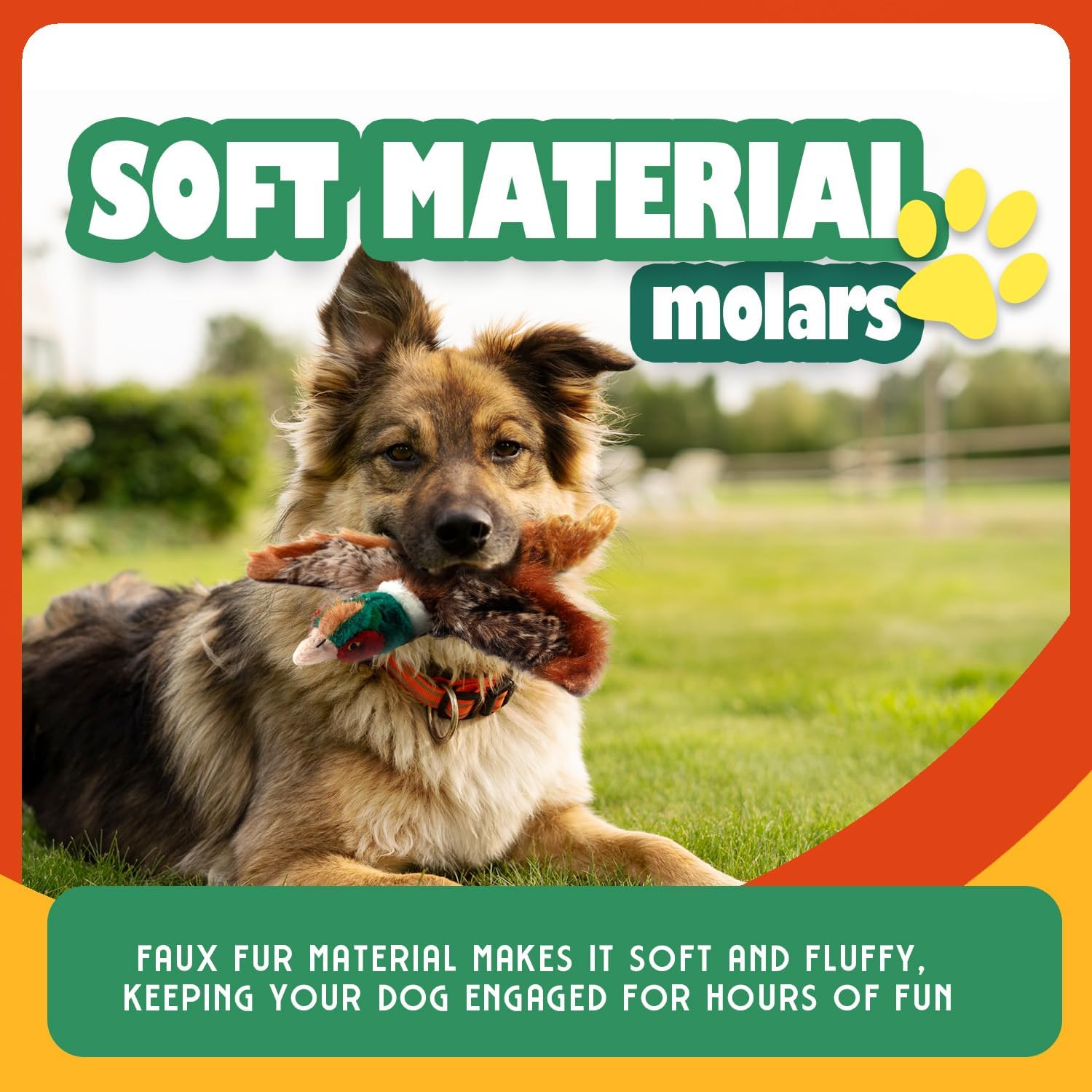 ALL FOR PAWS détail plumage et texture douce, stimule le toucher