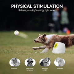 ALL FOR PAWS trémie ouverte illustrant insertion de balle, facilite utilisation sûre