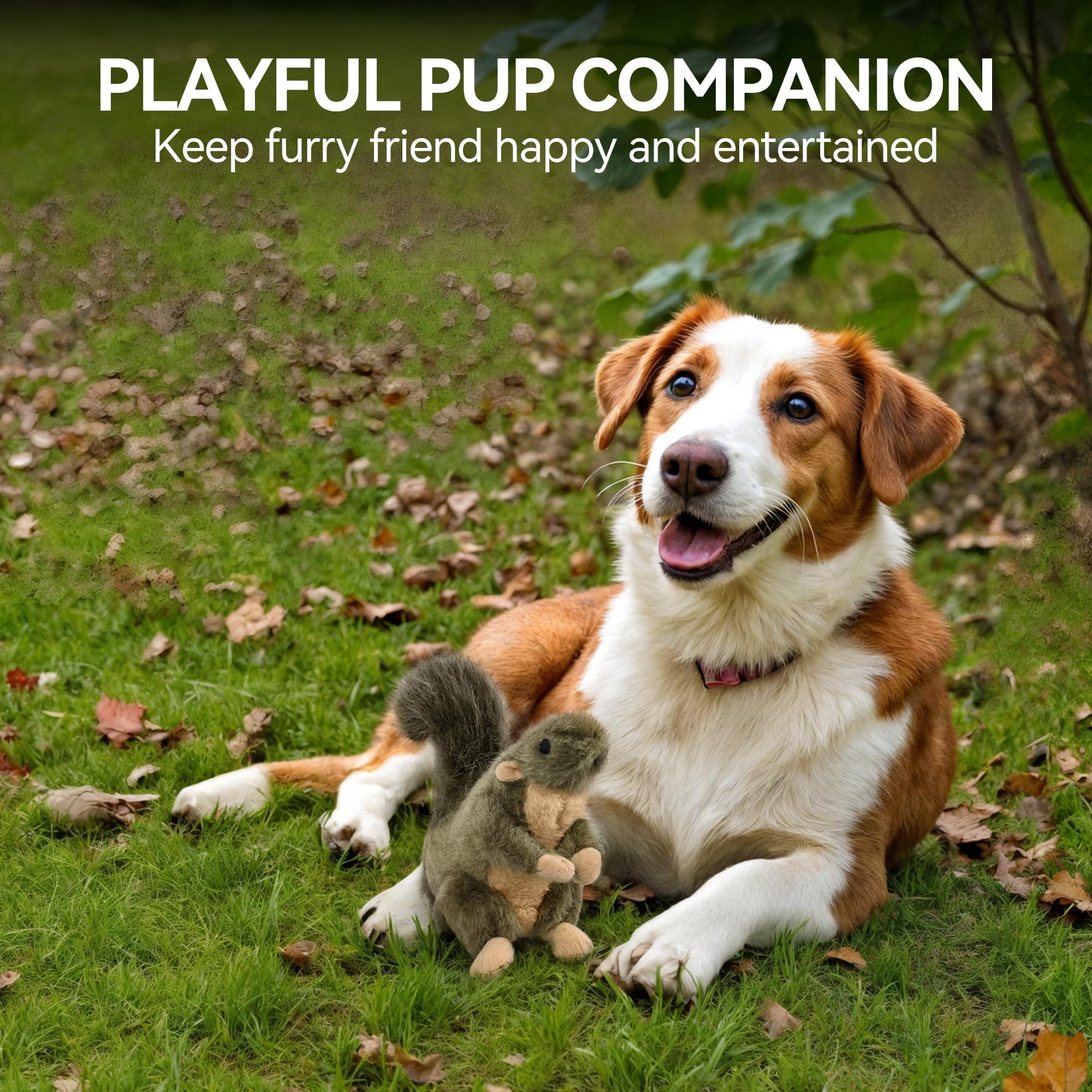 ALL FOR PAWS écureuil scène cosy enfant et chien encourageant le lien