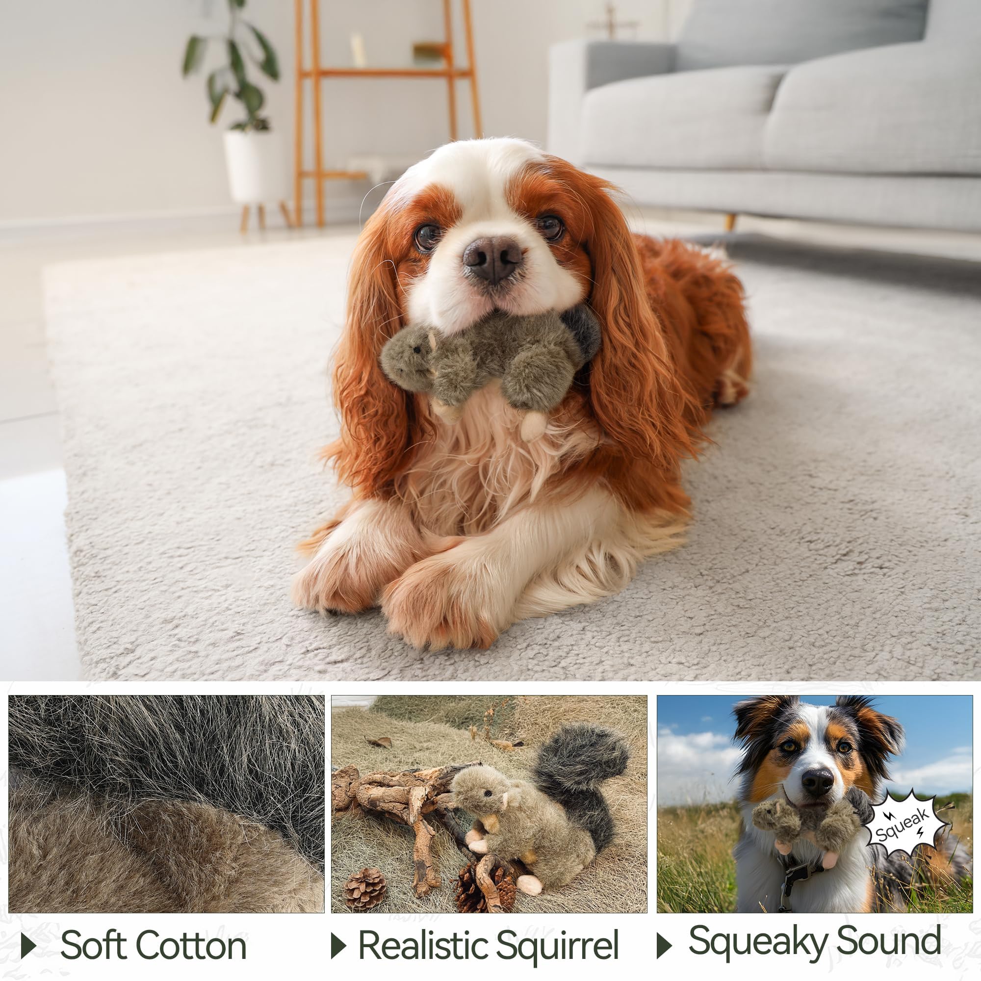 ALL FOR PAWS écureuil comparaison taille avec main pour référence pratique