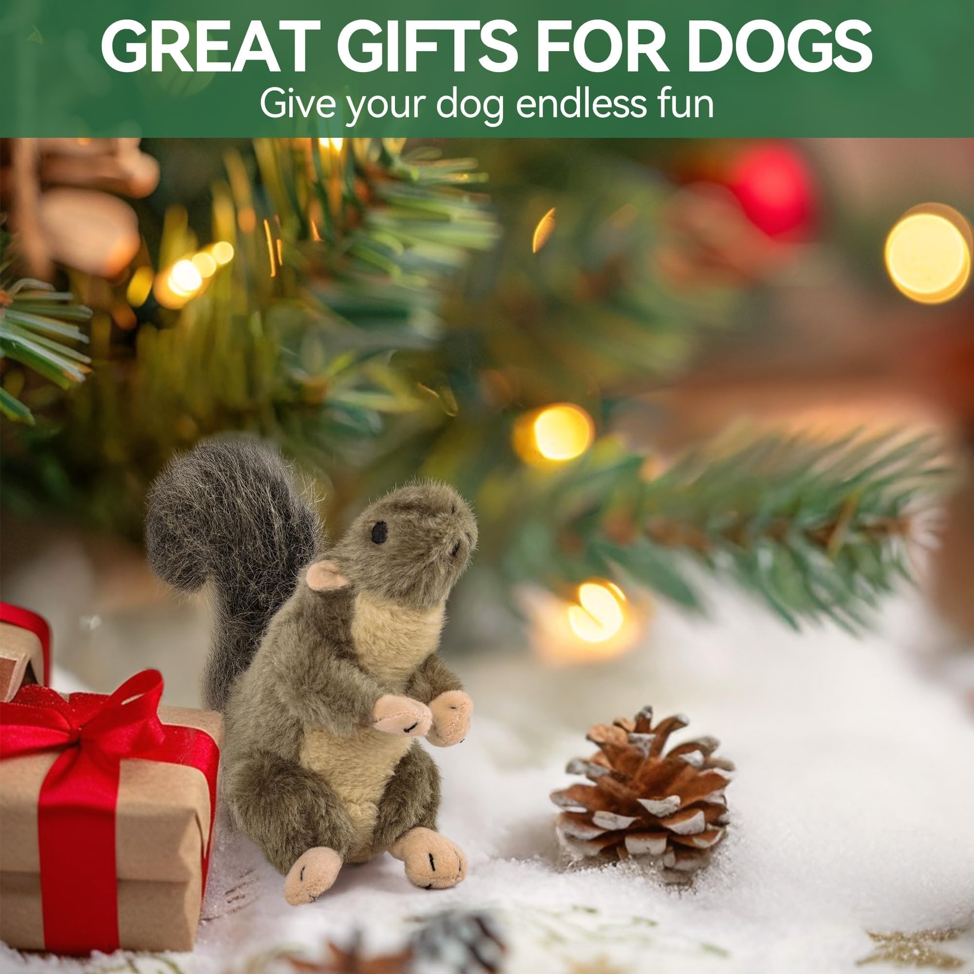 ALL FOR PAWS écureuil étiquette et emballage informations produit claires