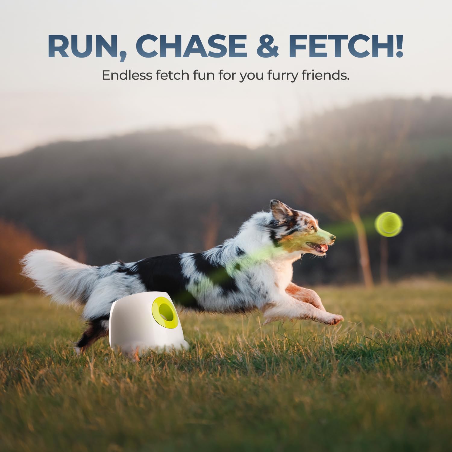 all for paws emballage et accessoires inclus pour configuration rapide