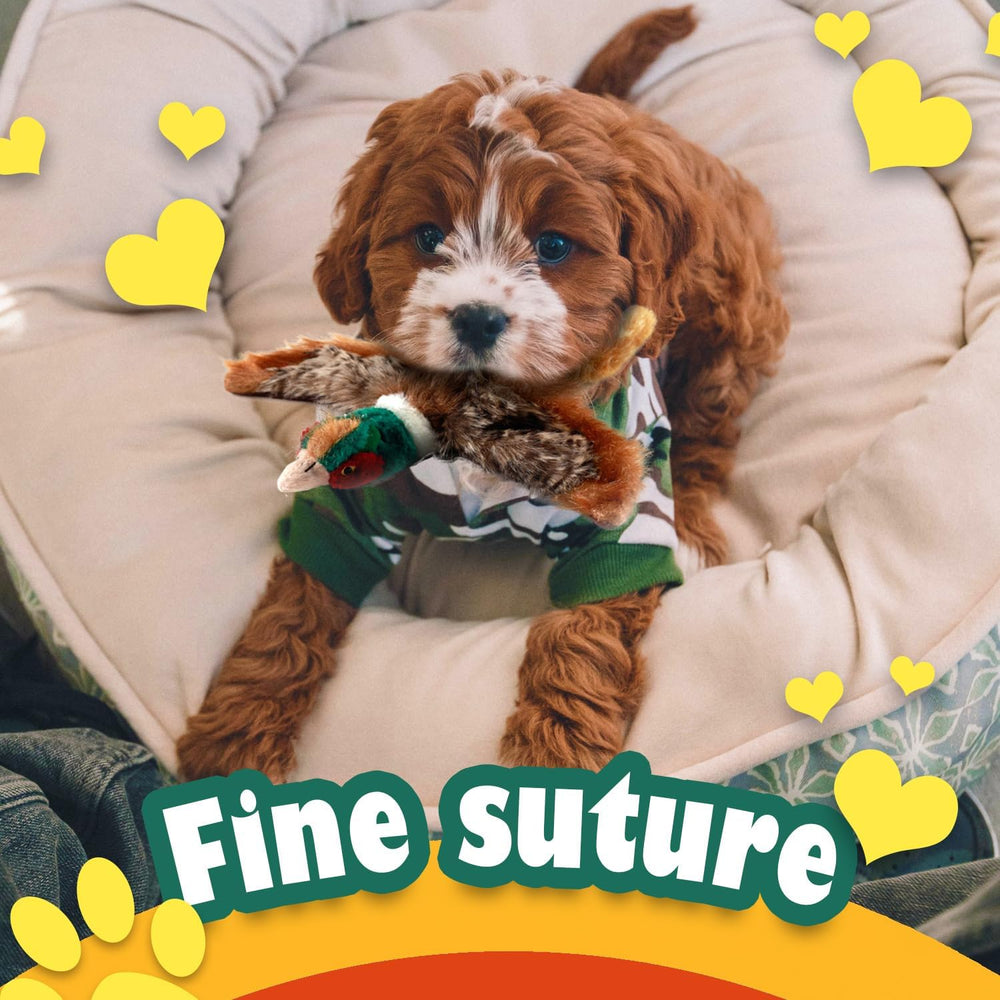 ALL FOR PAWS emballage et étiquette produit, informations claires