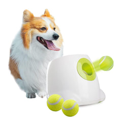 ALL FOR PAWS vue avant du lanceur montrant design et stabilité