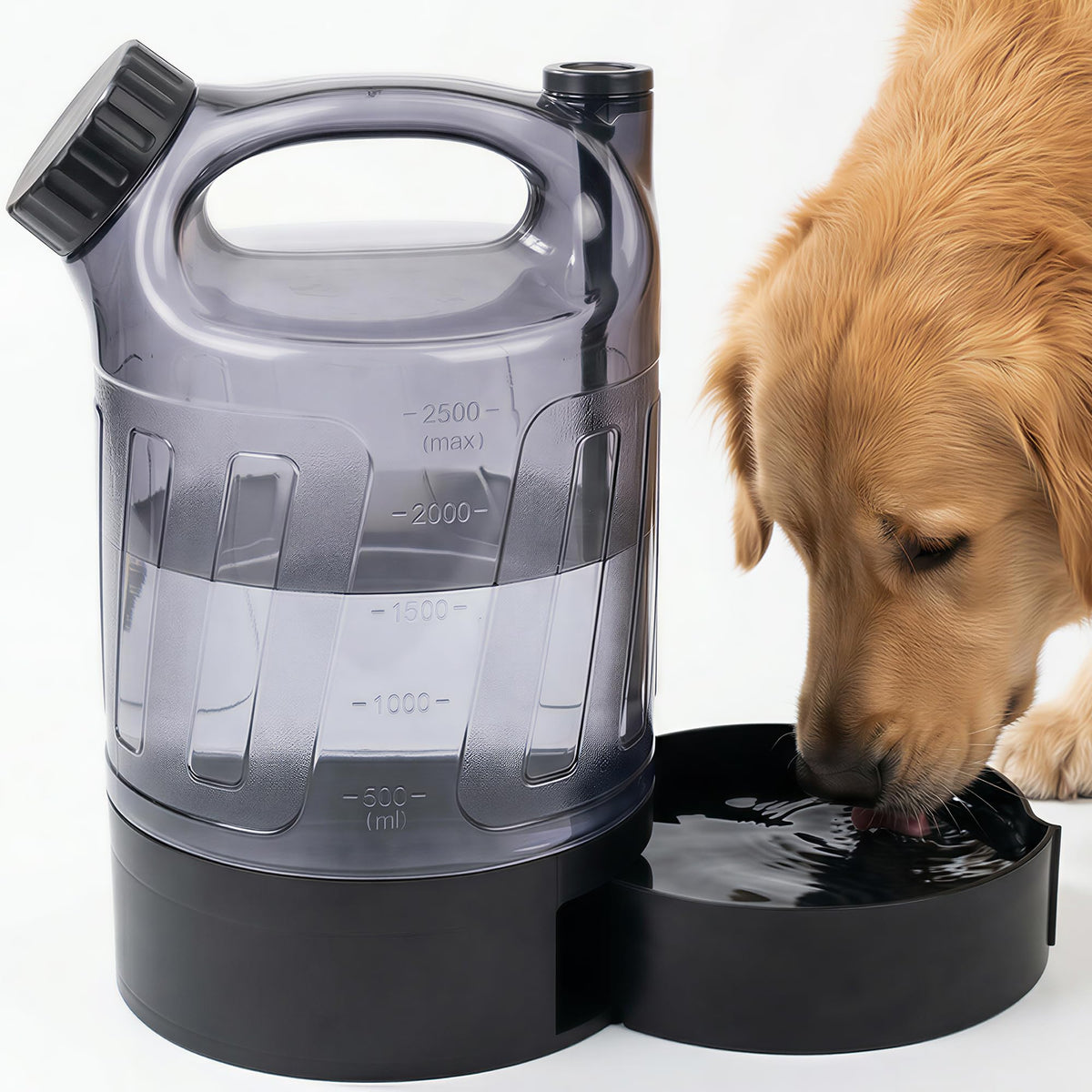 ALL FOR PAWS gourde 84 oz face avant montrant le design tout-en-un et gain de place