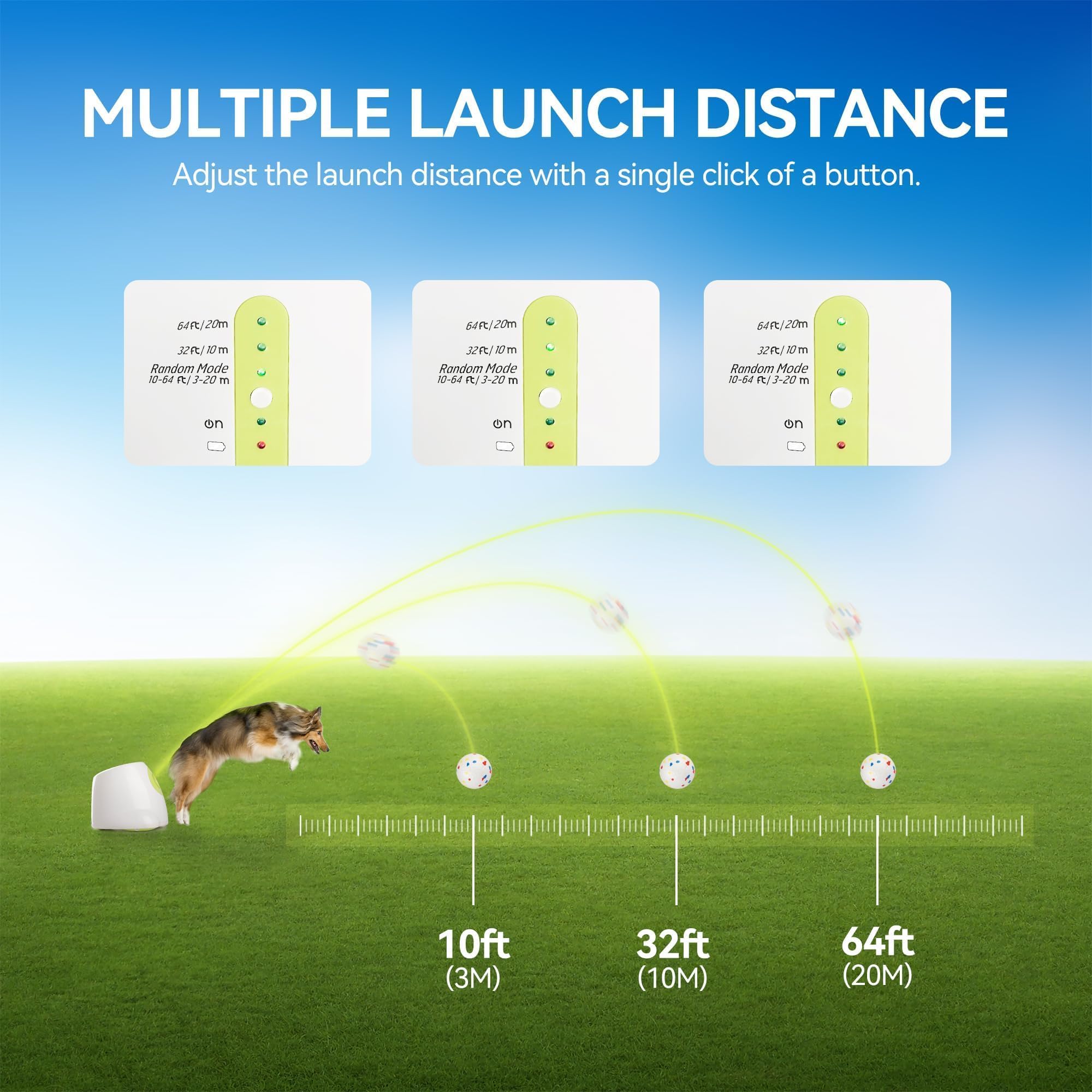 ALL FOR PAWS chien récupérant une balle lancée pour exercice et stimulation