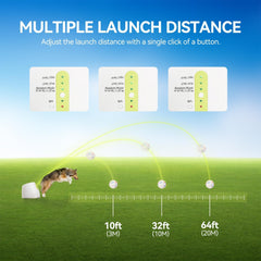 ALL FOR PAWS chien récupérant une balle lancée pour exercice et stimulation