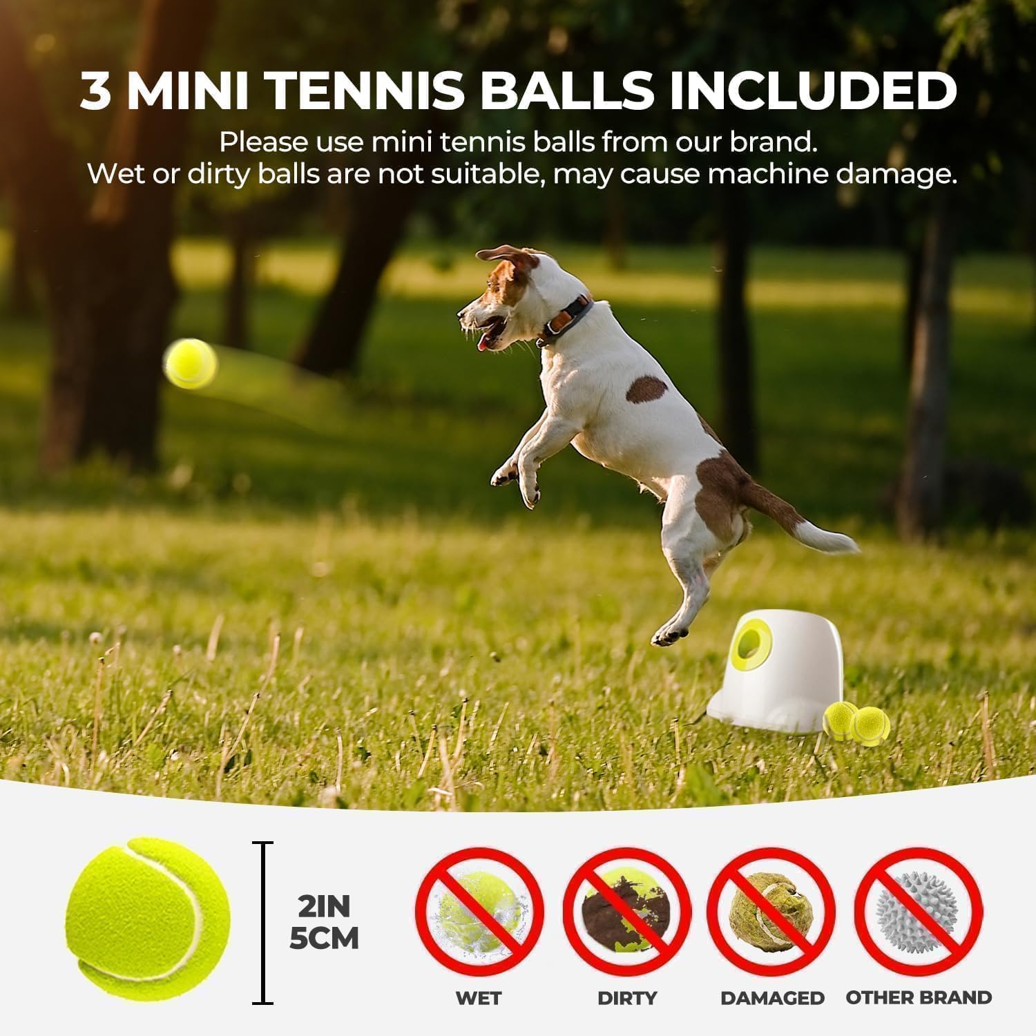 ALL FOR PAWS lanceur en action avec chien récupérant la balle