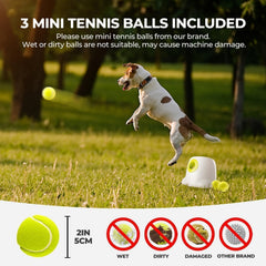 ALL FOR PAWS lanceur en action avec chien récupérant la balle