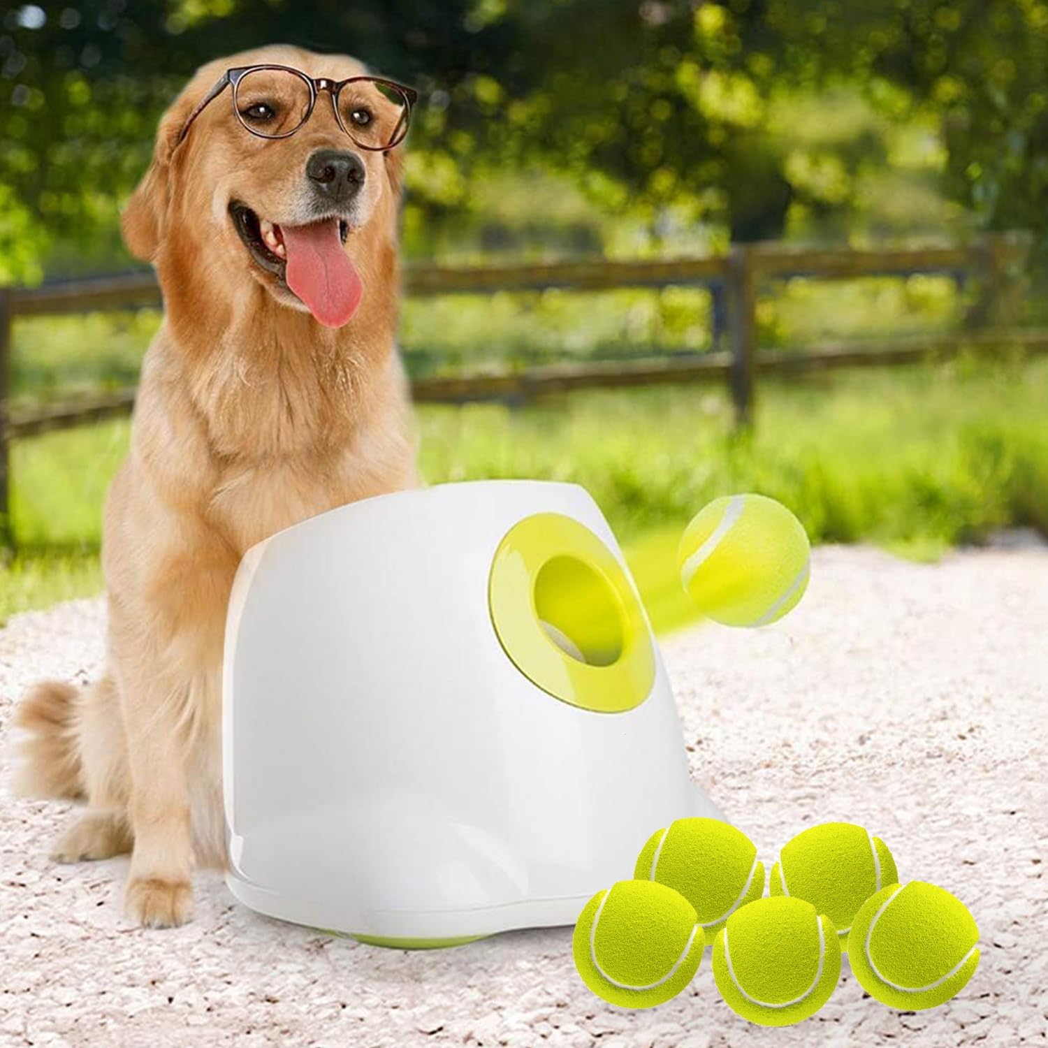 ALL FOR PAWS lanceur face avant montrant robustesse et simplicité d'utilisation