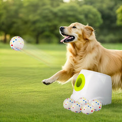 All for Paws face avant montrant la zone de lancement et réglages, pratique