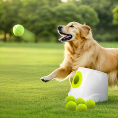 all for paws vue avant du lanceur montrant design robuste et sécurité