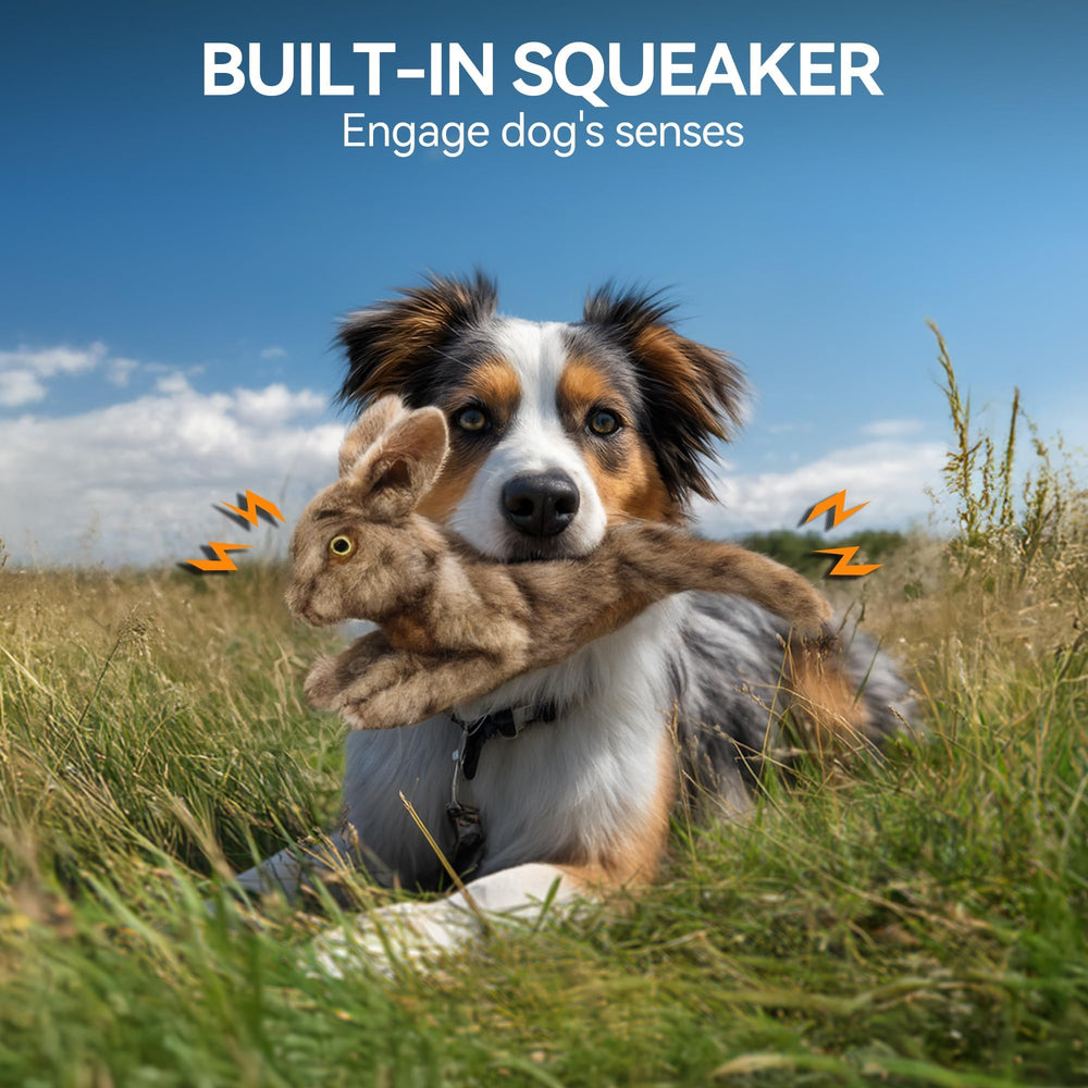 ALL FOR PAWS chiot jouant avec le lapin montrant stimulation et exercice