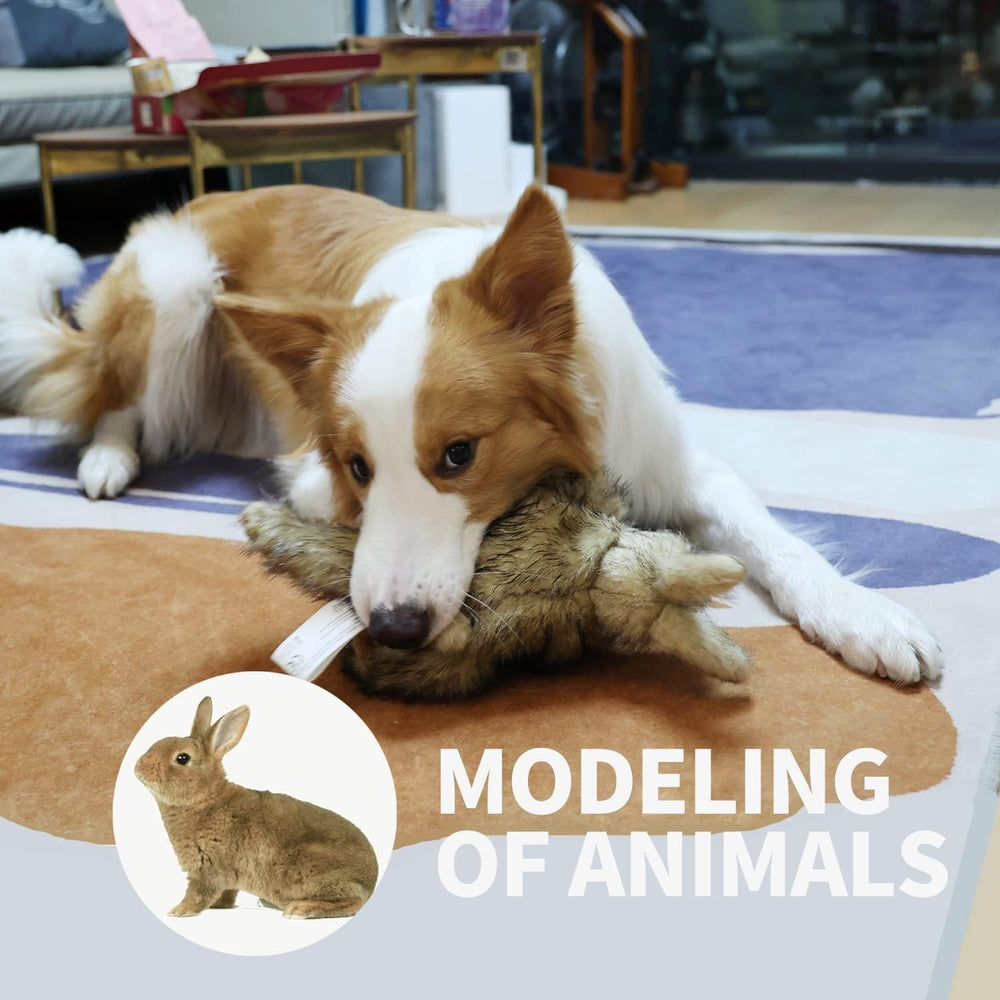 ALL FOR PAWS étiquette produit proche montrant marque et informations utiles