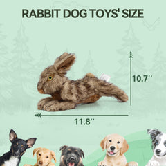 ALL FOR PAWS gros plan fourrure montrant texture douce et confort