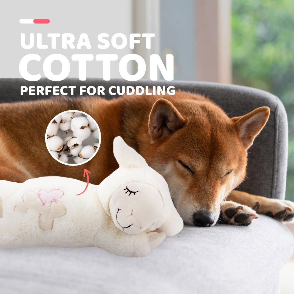 ALL FOR PAWS module battement détachable pour nettoyage facile