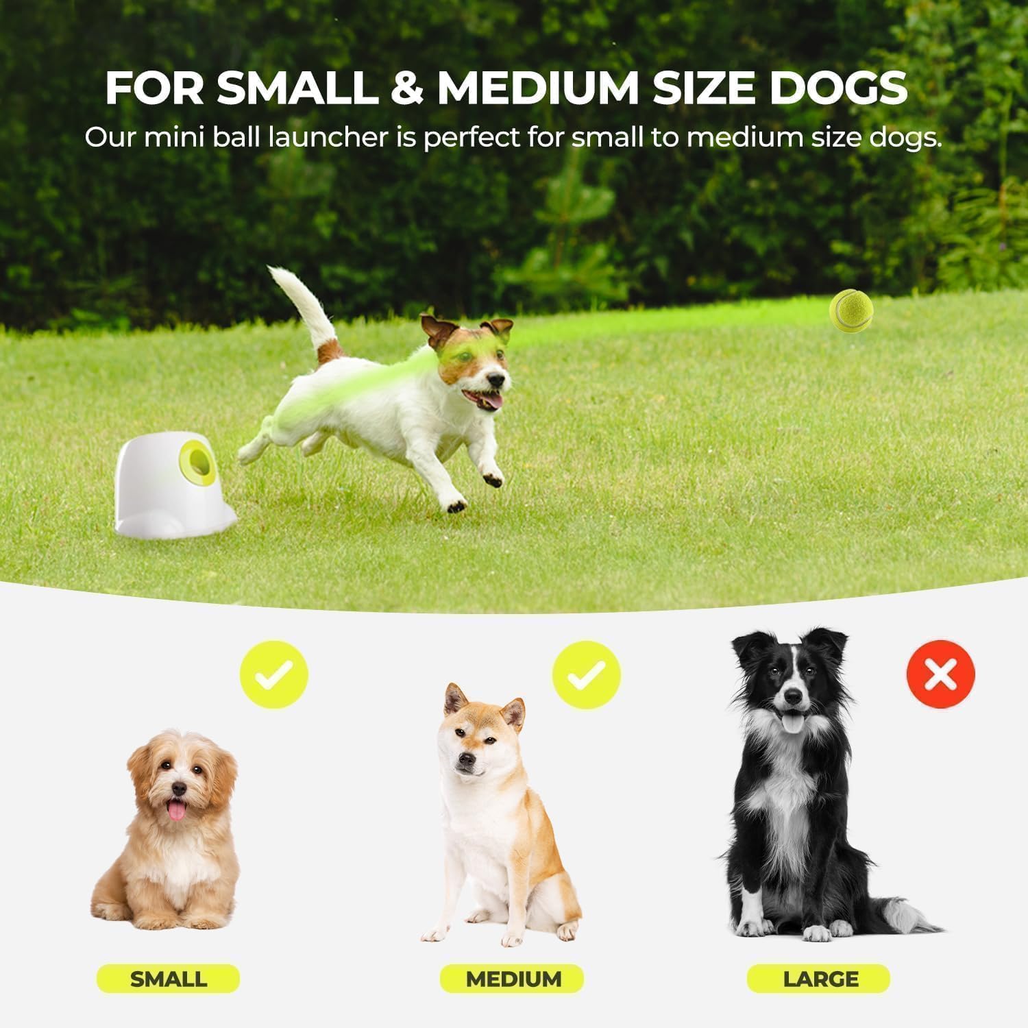 ALL FOR PAWS panneau de commandes simple pour réglage en 3 distances