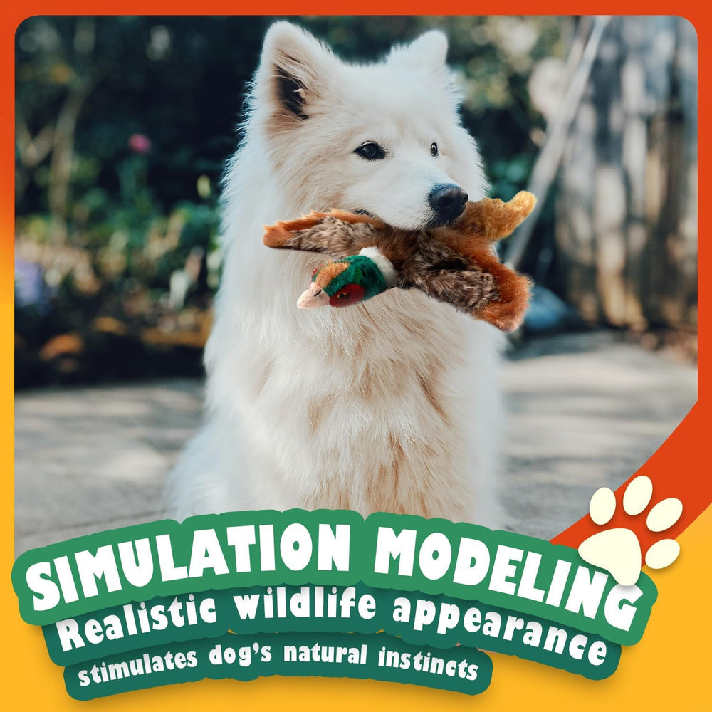 ALL FOR PAWS comparaison taille avec main, idéal pour petits chiens
