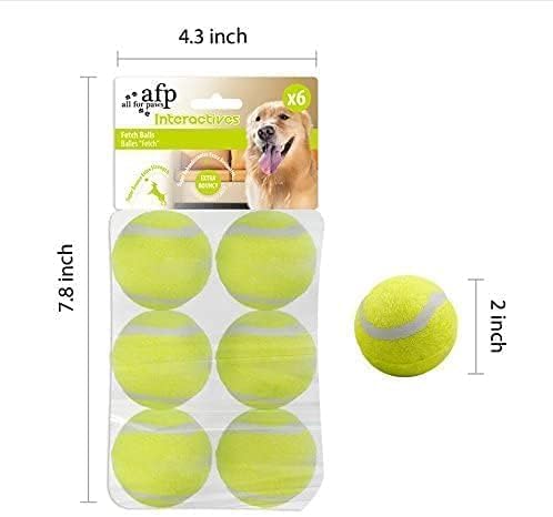 ALL FOR PAWS chien attrapant la balle en extérieur, stimulation et activité physique
