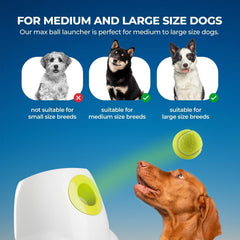 all for paws chien attrapant balle en extérieur pour exercice actif