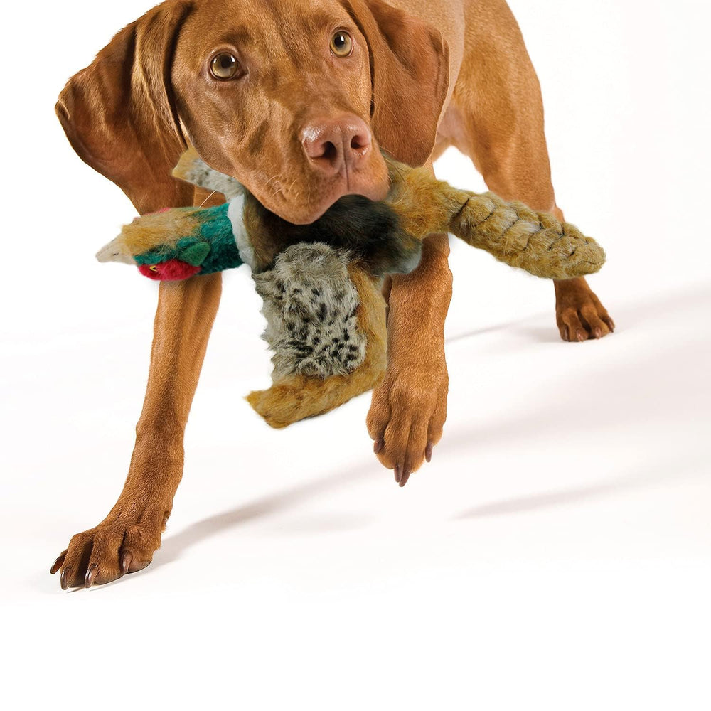 ALL FOR PAWS vue du couineur interne, encourage le jeu interactif