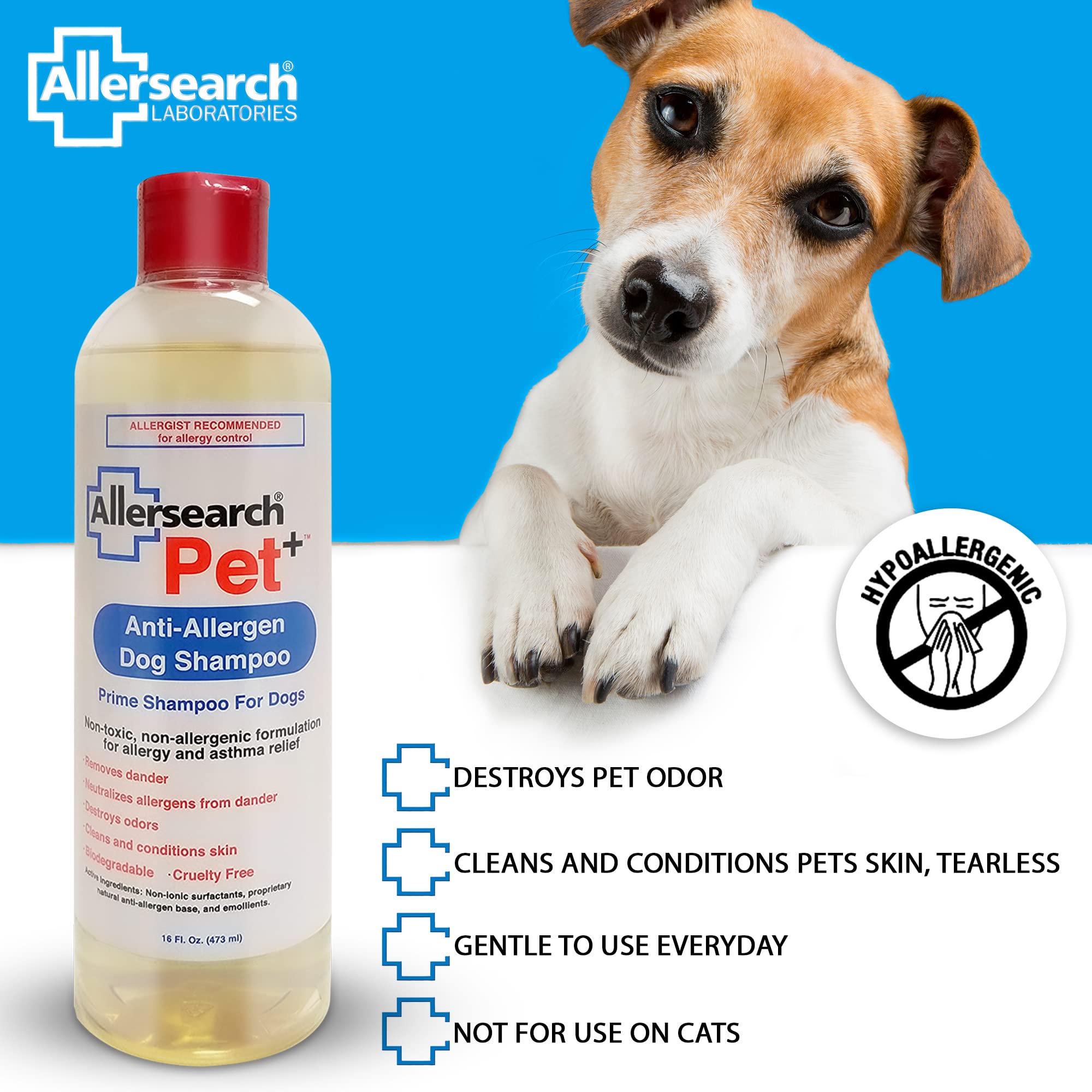 Allersearch comparaison de taille avec main indiquant format pratique