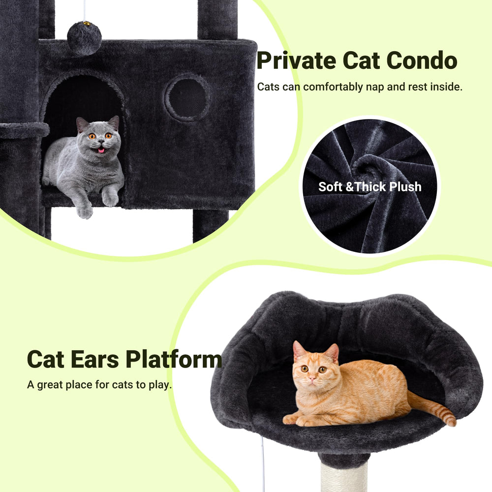 Allewie base renforcée montre stabilité et support pour chats actifs