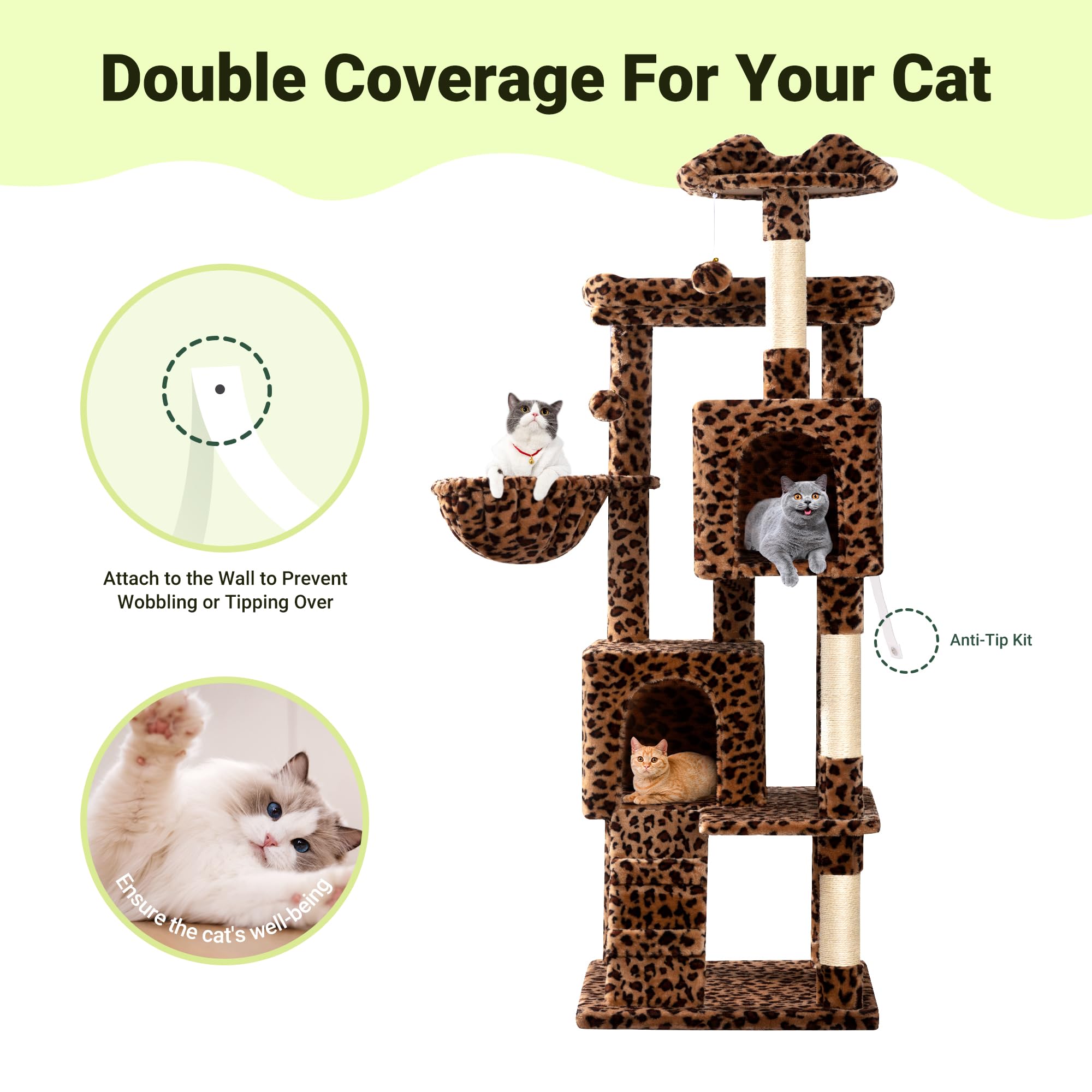 Allewie comparaison d'échelle montrant taille adaptée aux grands chats