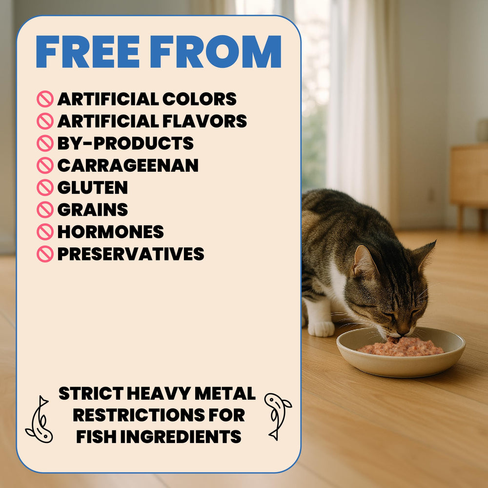 almo nature nourriture servie dans une assiette, stimule l’appétit du chat