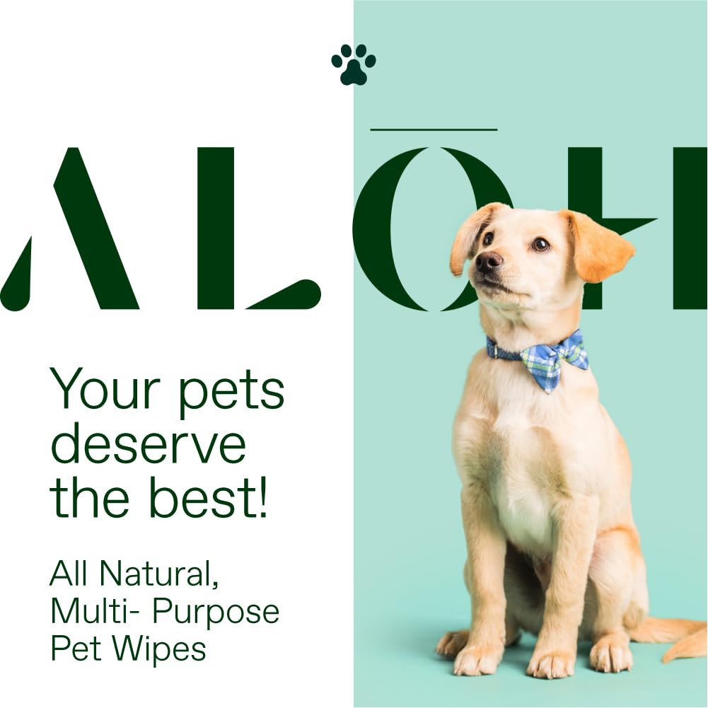 ALŌH étiquette des ingrédients montrant aloe vera et huiles végétales, transparence produit