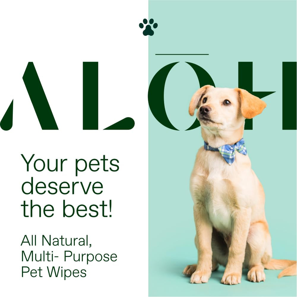 ALŌH étiquette des ingrédients montrant aloe vera et huiles végétales, transparence produit
