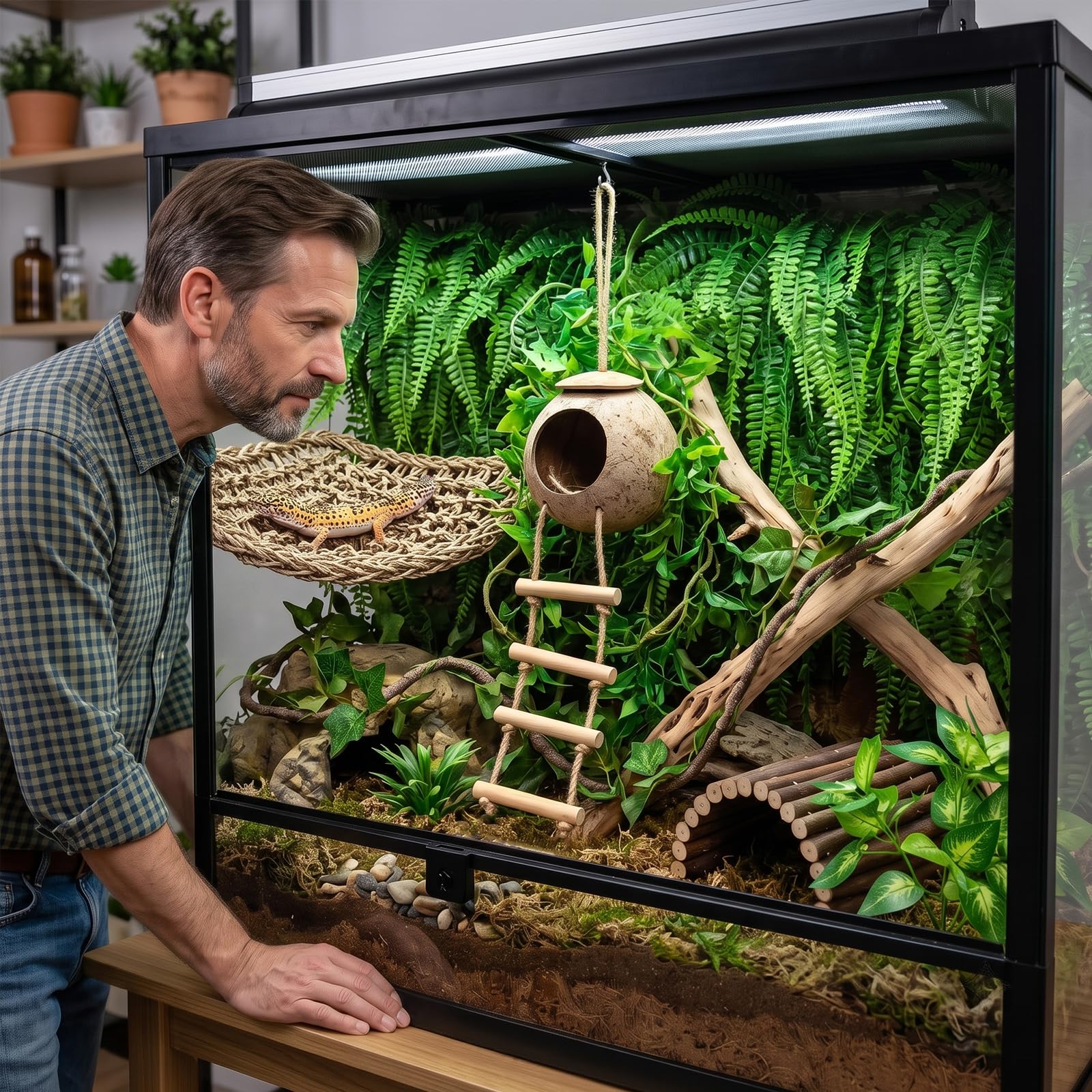 Alotiki trio de plantes aquatiques décoratives donnant diversité visuelle et zones d'ombre