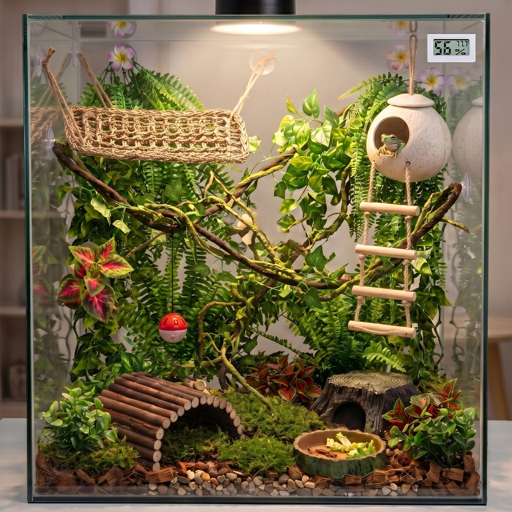 Alotiki décor installé dans terrarium avec pont en bois pour escalade et cachette